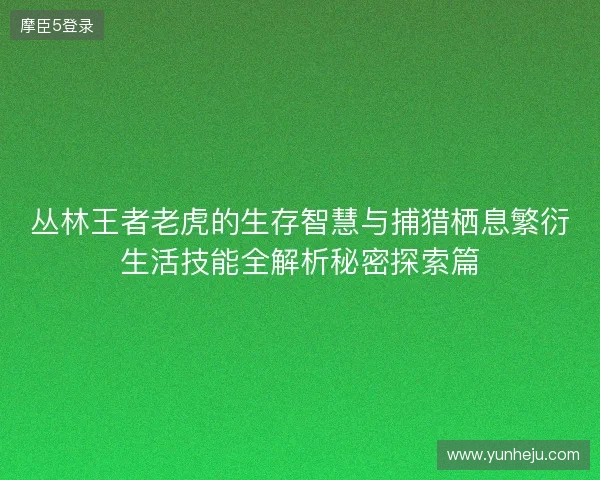丛林王者老虎的生存智慧与捕猎栖息繁衍生活技能全解析秘密探索篇